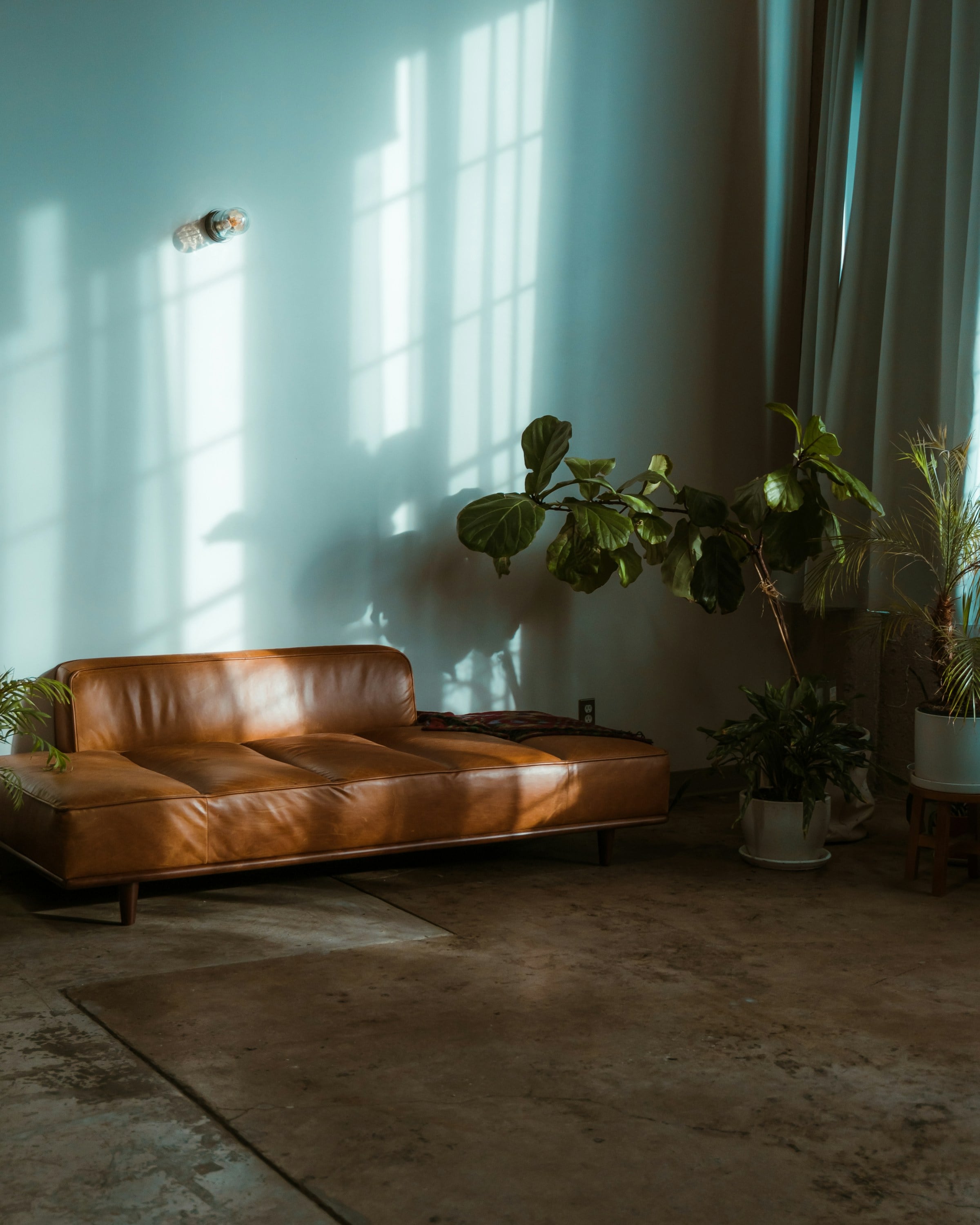 A warm sunlit living room — cream linen sofa, warm oak floors, morning light through linen curtains.