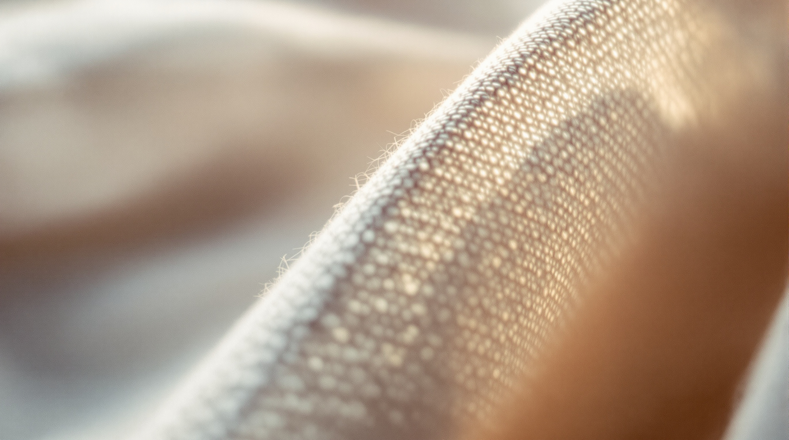 Close-up of woven Belgian linen showing slubs and a soft hand